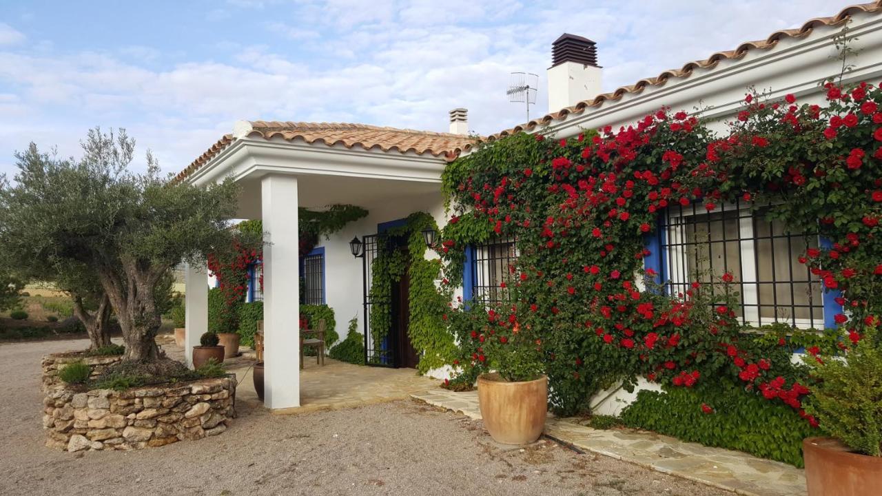 Finca El Romeral Alpera Eksteriør bilde