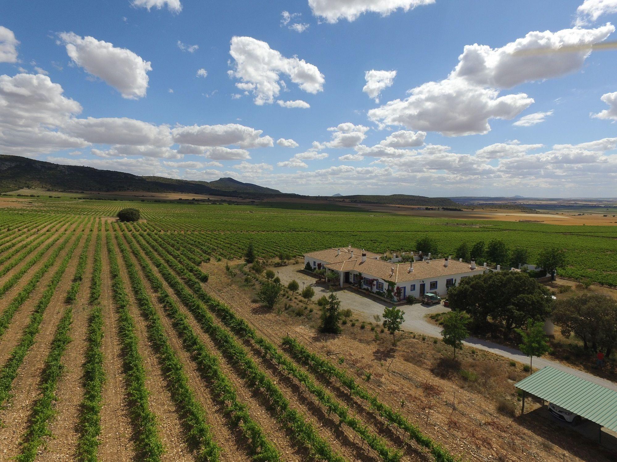 Finca El Romeral Alpera Eksteriør bilde