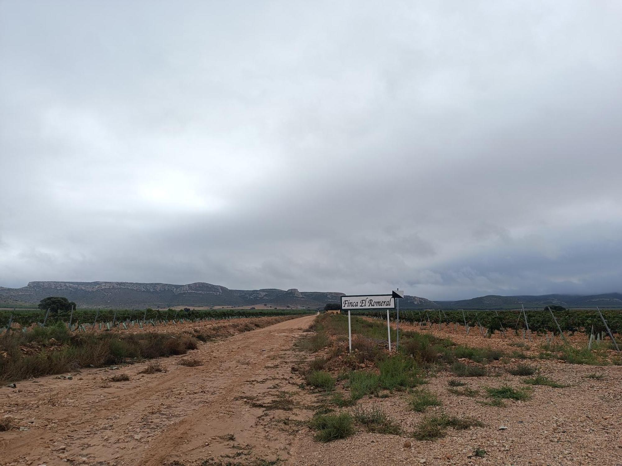 Finca El Romeral Alpera Eksteriør bilde