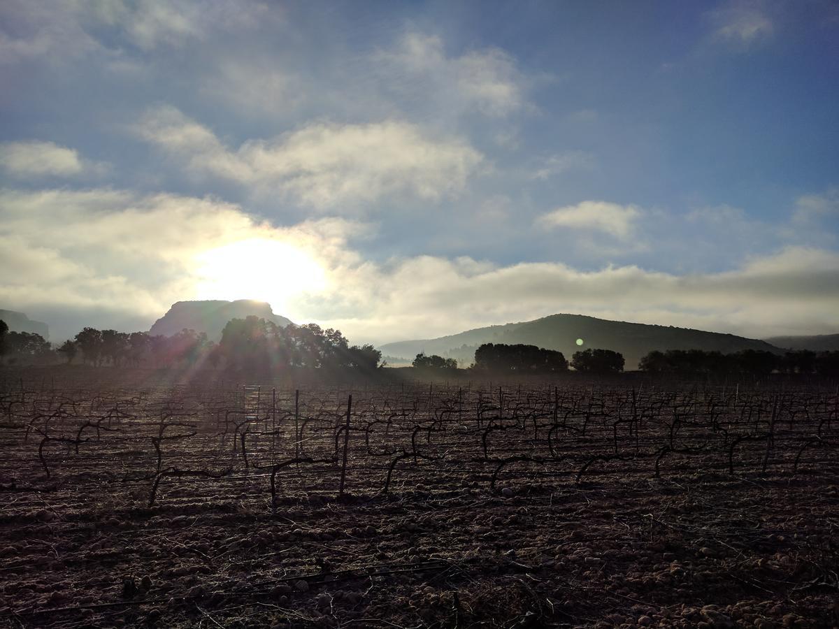 Finca El Romeral Alpera Eksteriør bilde