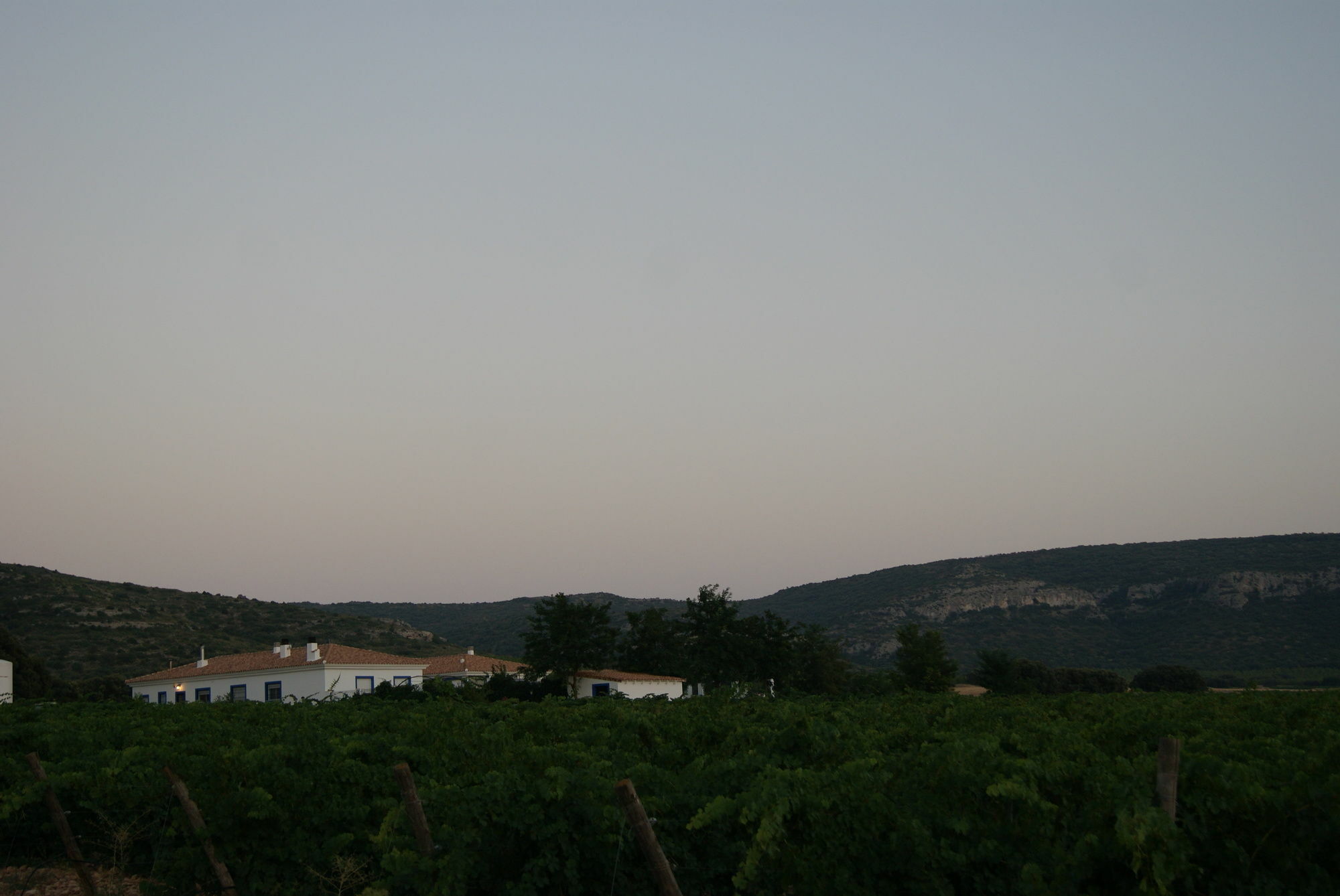 Finca El Romeral Alpera Eksteriør bilde