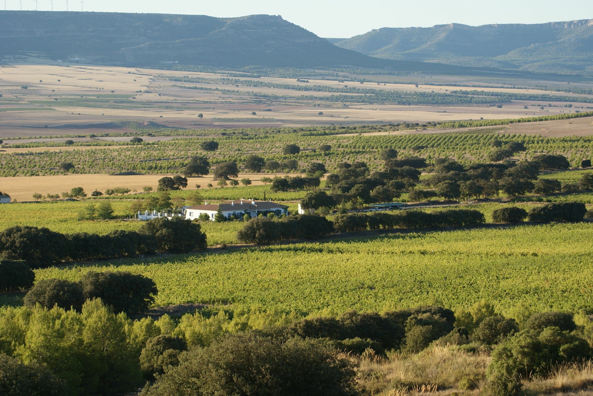 Finca El Romeral Alpera Eksteriør bilde