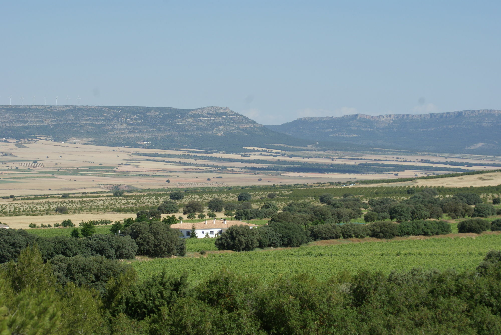 Finca El Romeral Alpera Eksteriør bilde