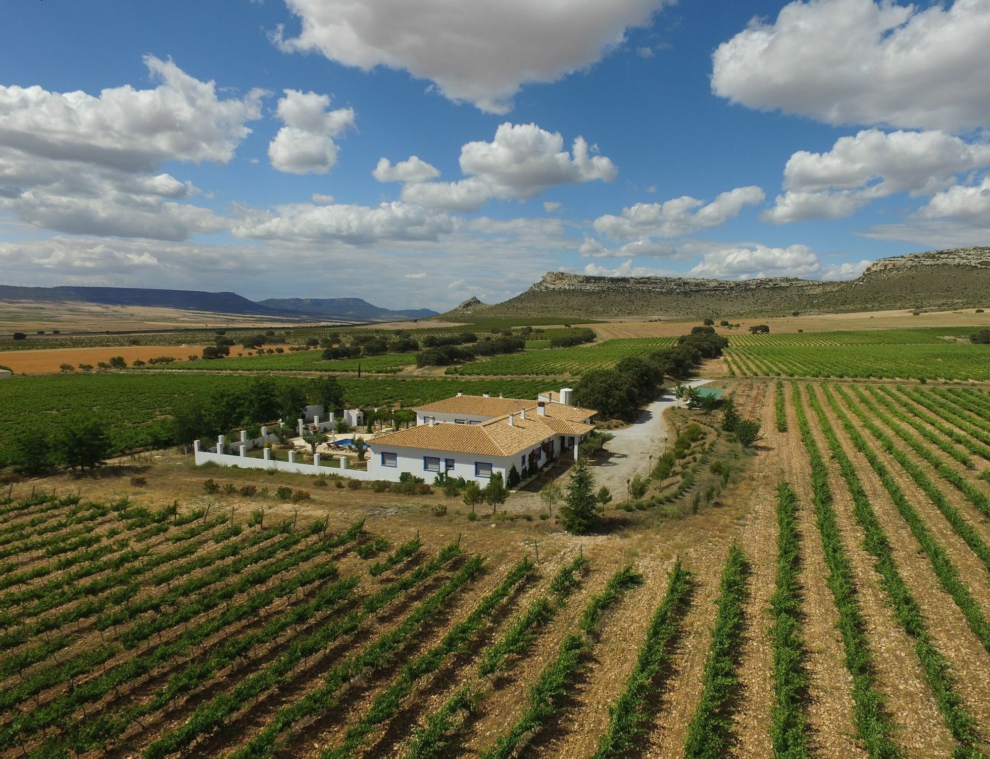 Finca El Romeral Alpera Eksteriør bilde